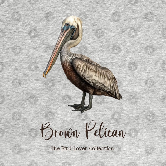 Brown Pelican - The Bird Lover Collection by goodoldvintage